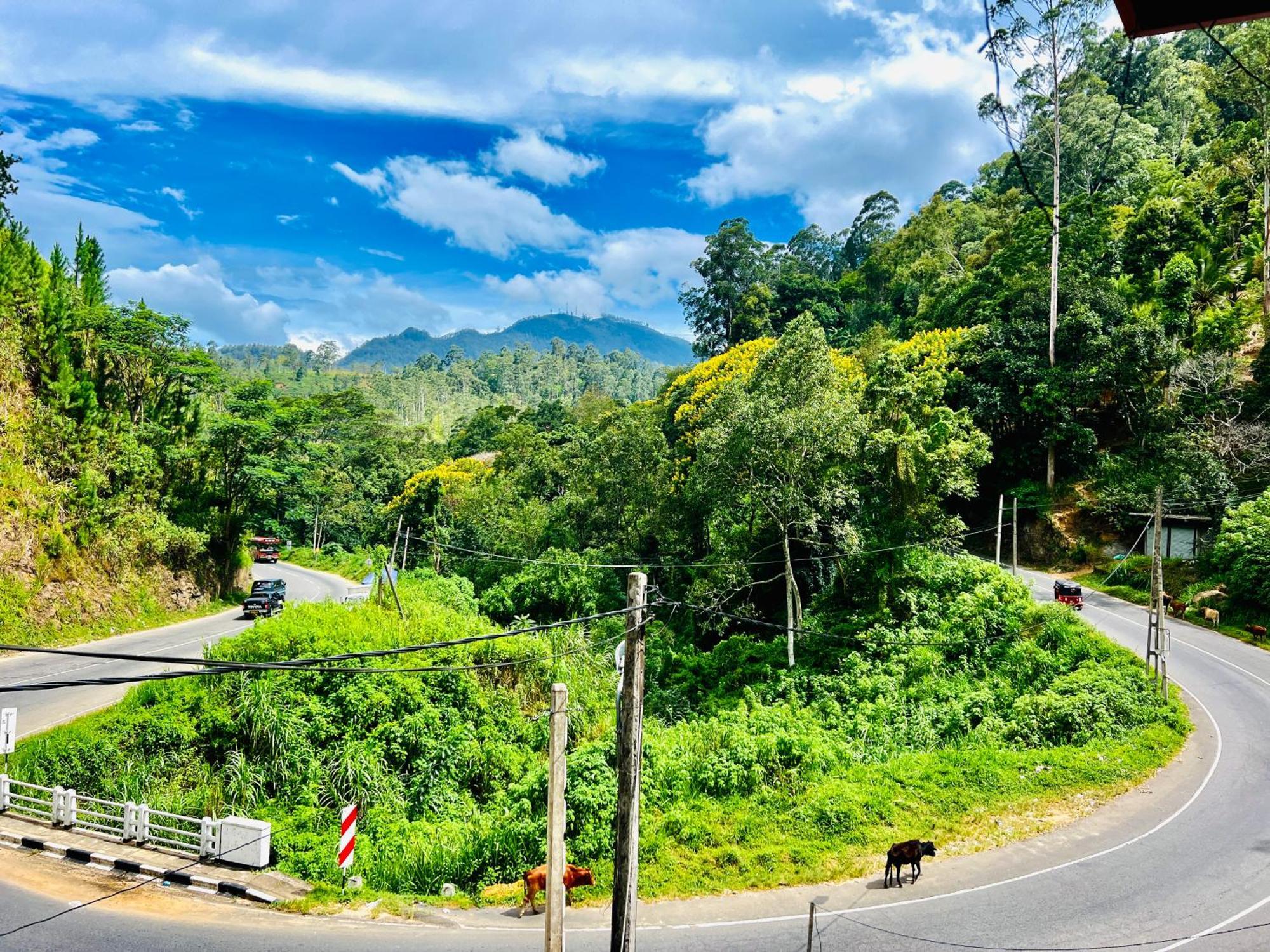 Pineview Lodge إيلا المظهر الخارجي الصورة