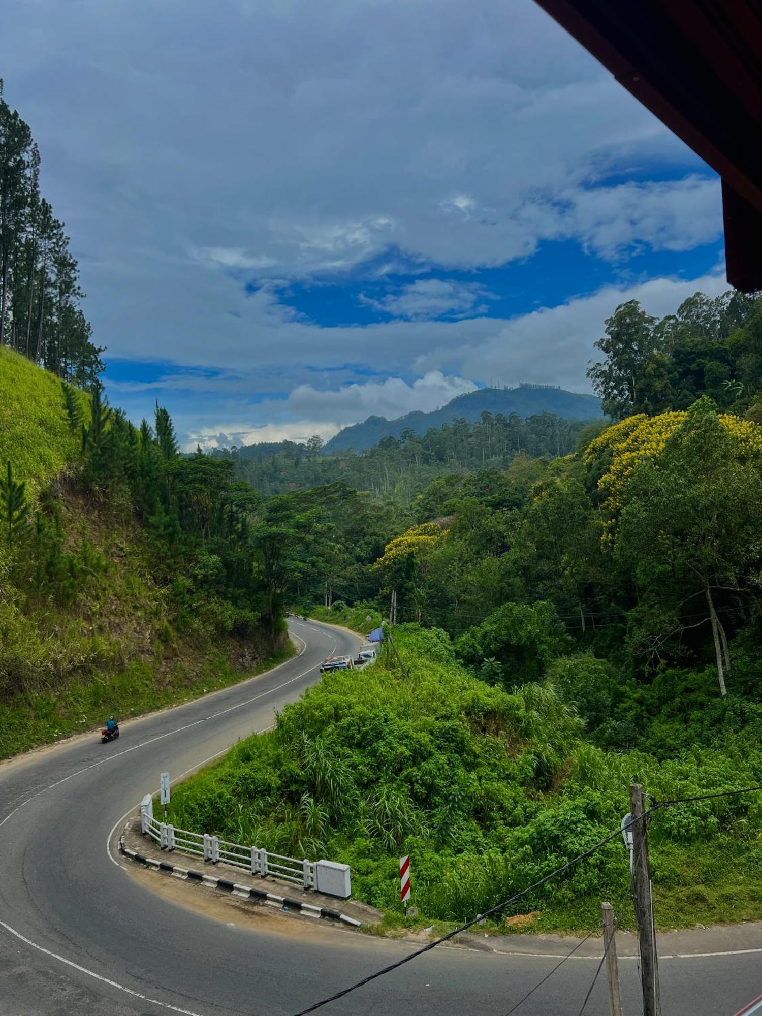 Pineview Lodge إيلا المظهر الخارجي الصورة